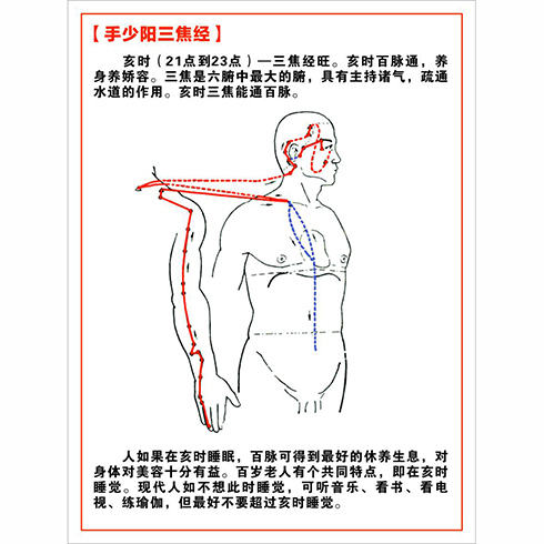 手少阳三焦经