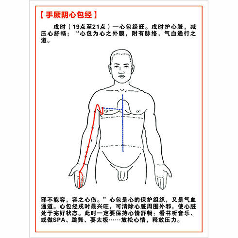 大不同经络调理养生