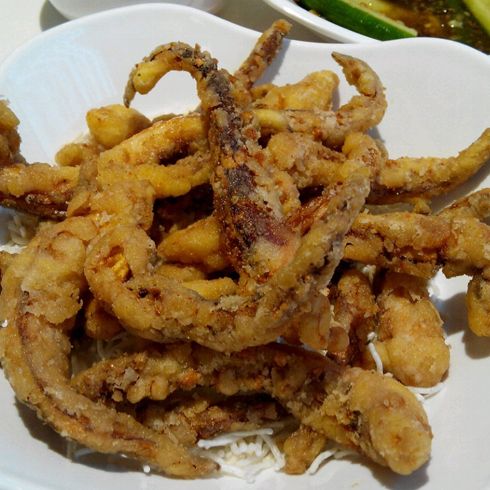 街头霸王速食车-炸鱿鱼