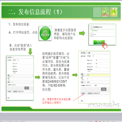 九州绿苑苗木交易平台