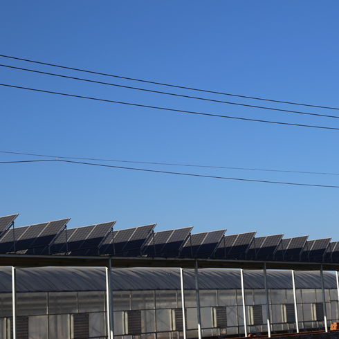 清大奥普太阳能发电-太阳能发电