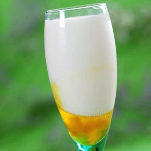 missmilk-绿茶瘦身酸奶