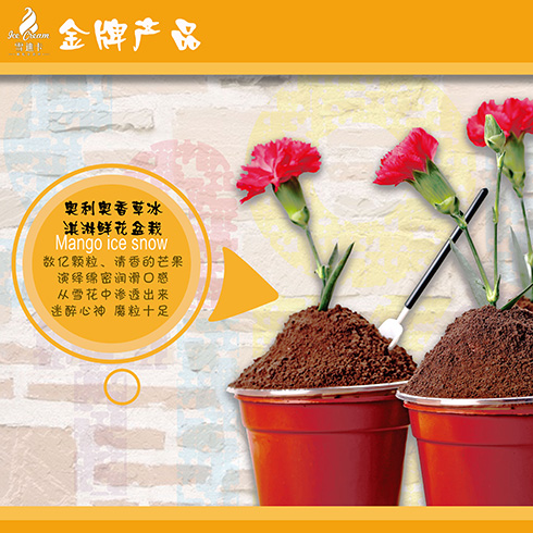 雪迪卡冰淇淋-奥利奥香草冰淇淋