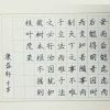 赵汝飞练字-学生作品展示