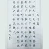 赵汝飞练字-学生练习作品