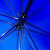 蓝色子母伞
