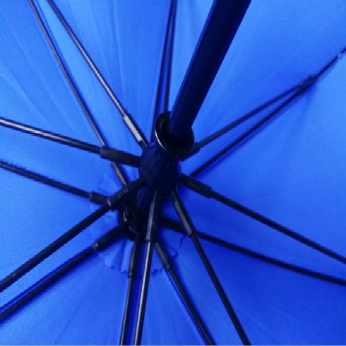 蓝伞伞骨