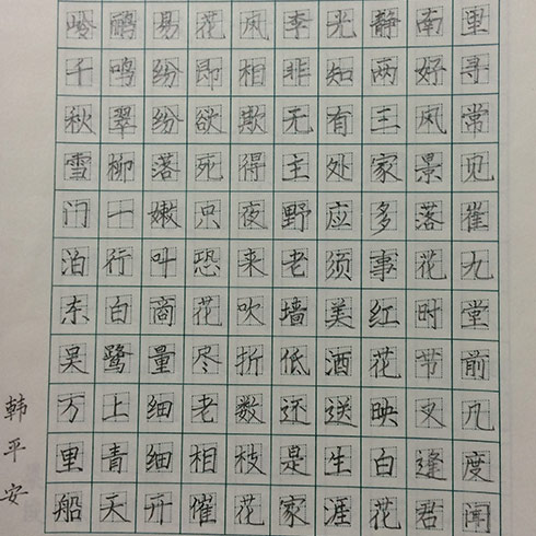 TOP状元全语文培训-练字