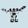 嘉世达家用机器人-罗本艾特机器人