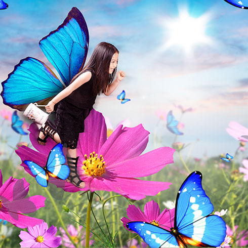 大西瓜亲子趣拍馆-蝴蝶世界