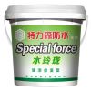 特力森防水涂料-水玲珑强渗修复型