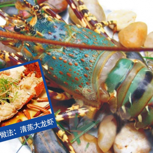 蟹太太-澳洲龙虾