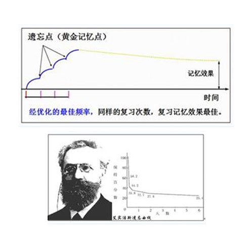 艾宾浩斯智能教育-智能教育