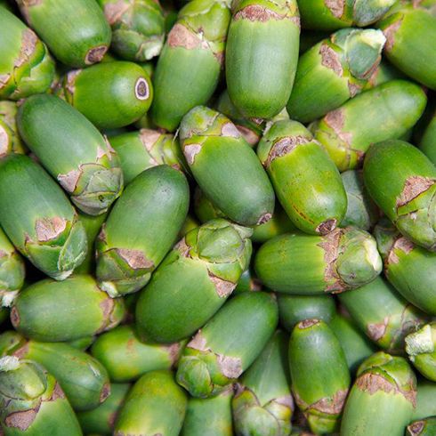 春节警在线年春节假期西双版纳州交通安全“两公布一提示”(图1)