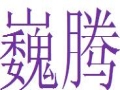 巍腾女装
