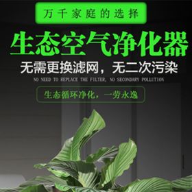 生泰宝ECOBAO空气净化器