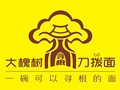 大槐树刀拨面